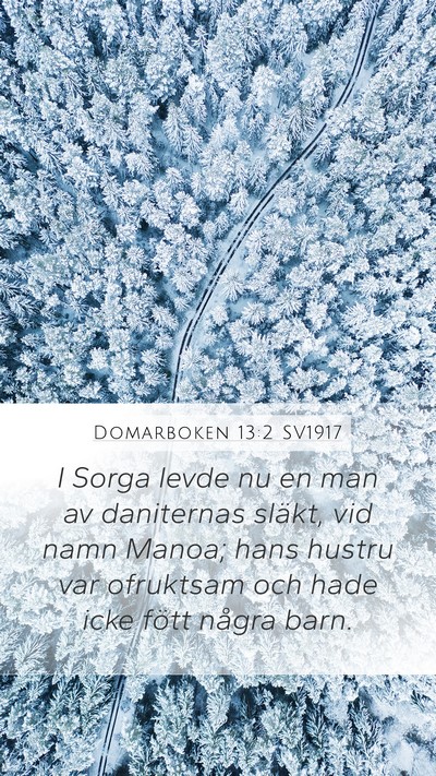 Domarboken 13:2 SV1917 Bible Verse Image