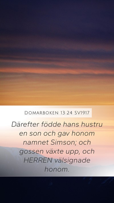 Domarboken 13:24 SV1917 Bible Verse Image