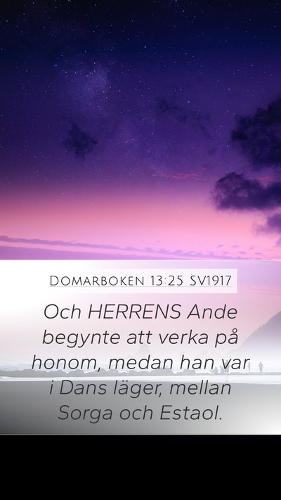 Domarboken 13:25 SV1917 Bible Verse Image
