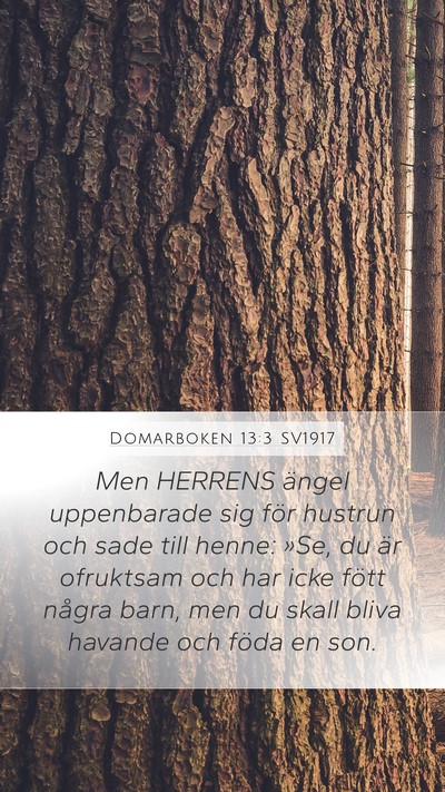 Domarboken 13:3 SV1917 Bible Verse Image
