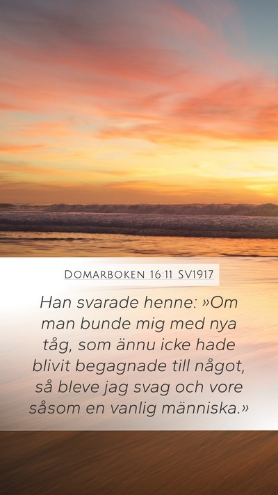 Domarboken 16:11 SV1917 Mobile Phone Wallpaper - Han svarade henne: »Om man bunde mig med nya - Mobile Bible Verse Wallpaper