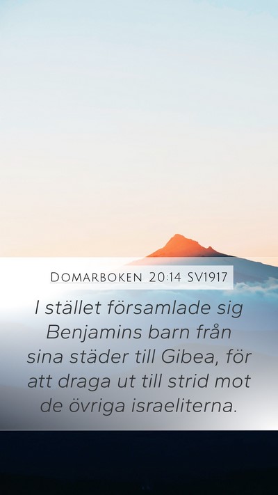 Domarboken 20:14 SV1917 Bible Verse Image