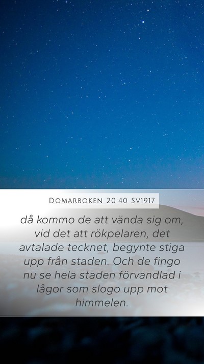 Domarboken 20:40 SV1917 Bible Verse Image