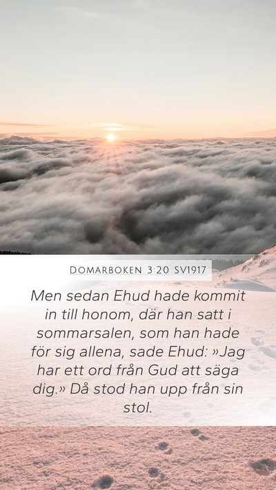 Domarboken 3:20 SV1917 Bible Verse Image