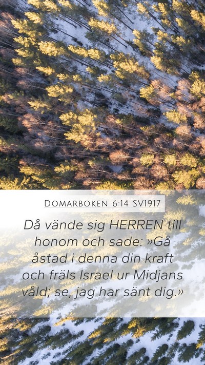 Domarboken 6:14 SV1917 Bible Verse Image