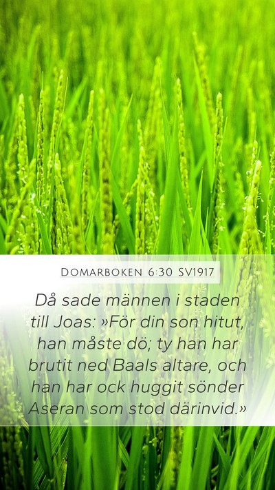 Domarboken 6:30 SV1917 Mobile Phone Wallpaper - Då sade männen i staden till Joas: »För din - Mobile Bible Verse Wallpaper