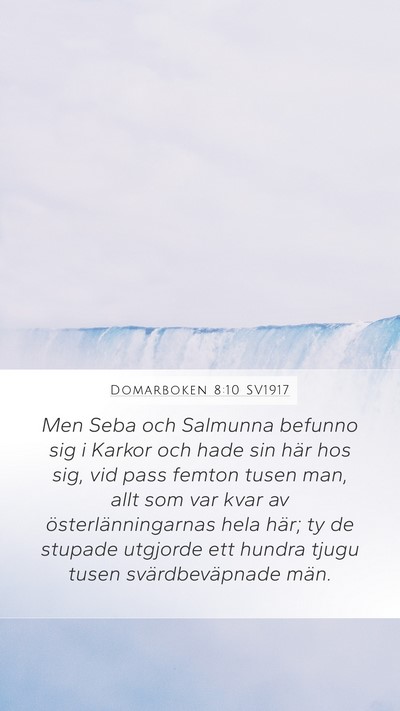 Domarboken 8:10 SV1917 Bible Verse Image