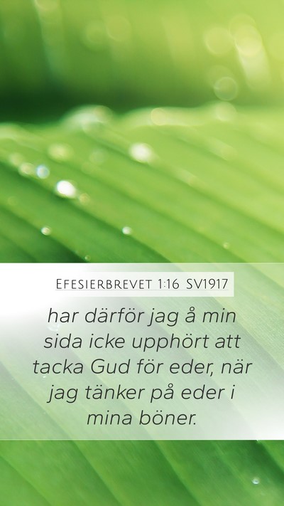 Efesierbrevet 1:16 SV1917 Bible Verse Image