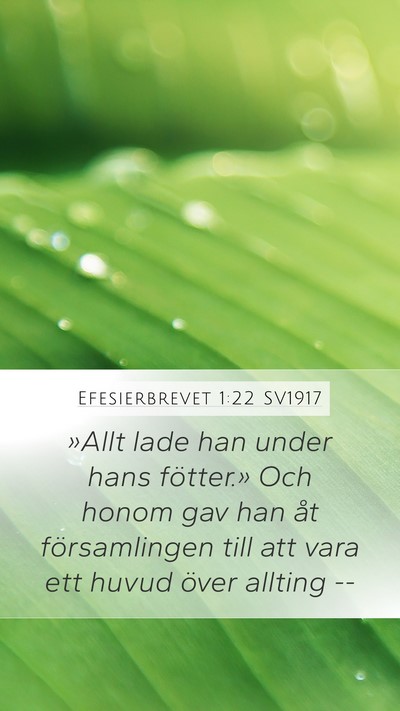 Efesierbrevet 1:22 SV1917 Bible Verse Image