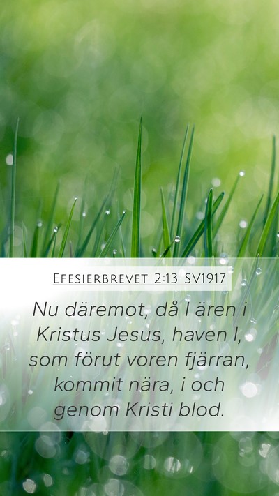 Efesierbrevet 2:13 SV1917 Bible Verse Image