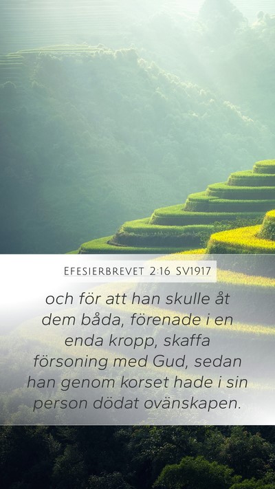 Efesierbrevet 2:16 SV1917 Bible Verse Image