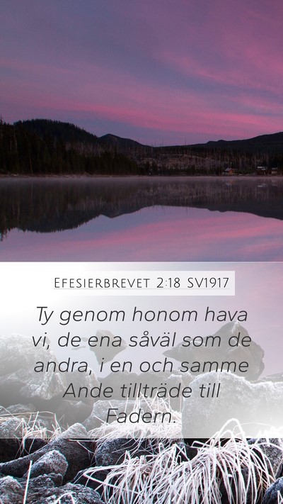 Efesierbrevet 2:18 SV1917 Bible Verse Image