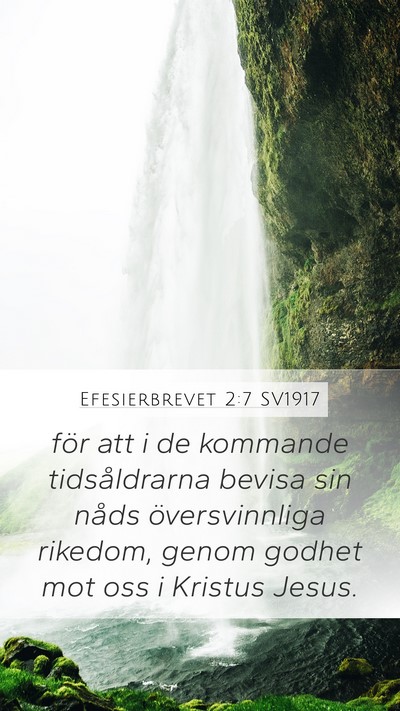 Efesierbrevet 2:7 SV1917 Bible Verse Image