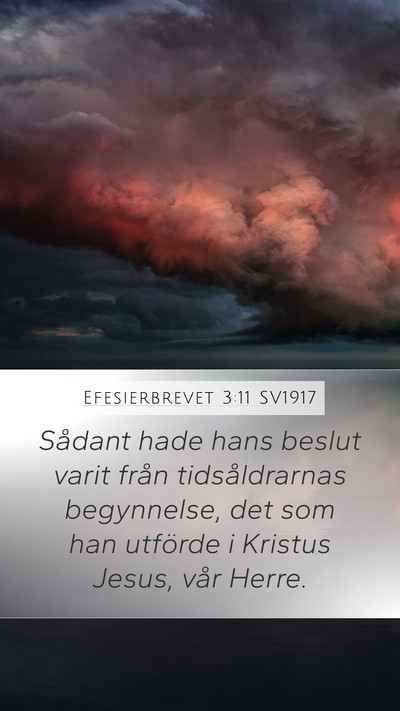Efesierbrevet 3:11 SV1917 Bible Verse Image