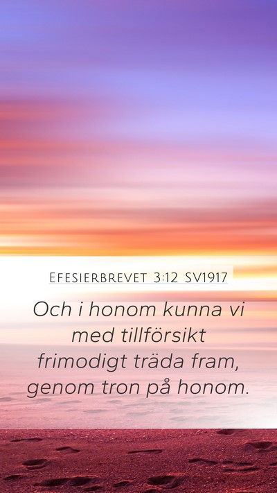 Efesierbrevet 3:12 SV1917 Bible Verse Image