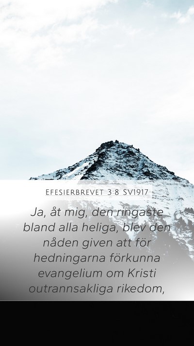 Efesierbrevet 3:8 SV1917 Bible Verse Image