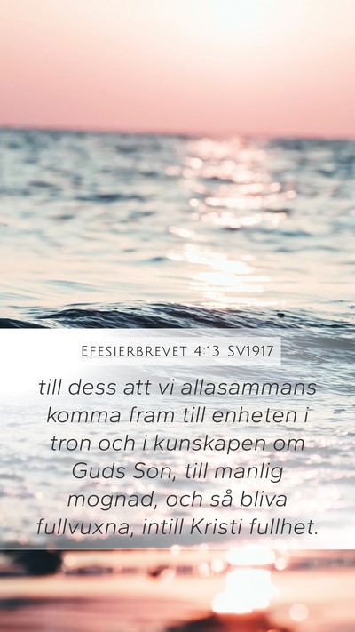 Efesierbrevet 4:13 SV1917 Bible Verse Image