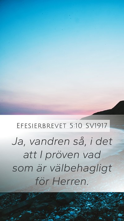 Efesierbrevet 5:10 SV1917 Mobile Phone Wallpaper - Ja, vandren så, i det att I pröven vad som är - Mobile Bible Verse Wallpaper