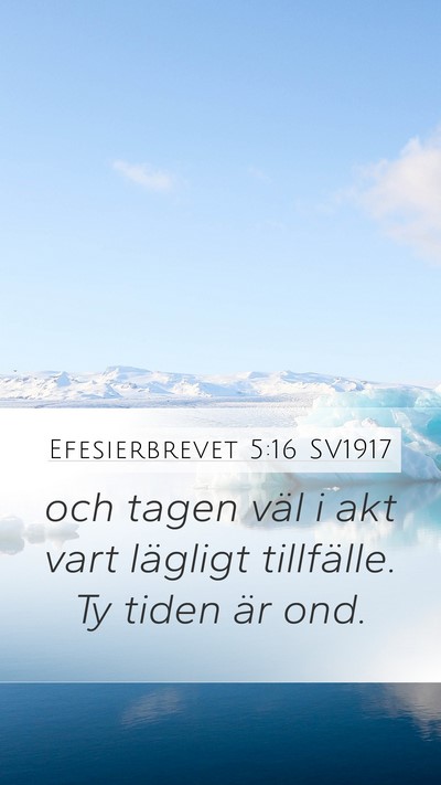 Efesierbrevet 5:16 SV1917 Bible Verse Image