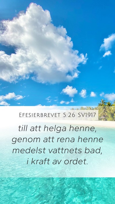 Efesierbrevet 5:26 SV1917 Bible Verse Image