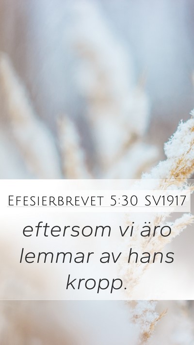 Efesierbrevet 5:30 SV1917 Bible Verse Image