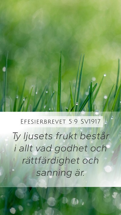 Efesierbrevet 5:9 SV1917 Bible Verse Image