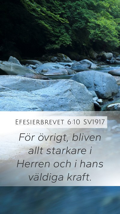 Efesierbrevet 6:10 SV1917 Bible Verse Image