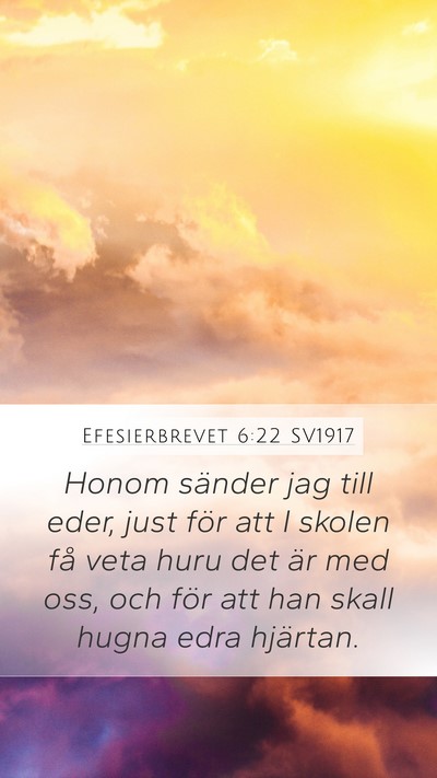 Efesierbrevet 6:22 SV1917 Bible Verse Image