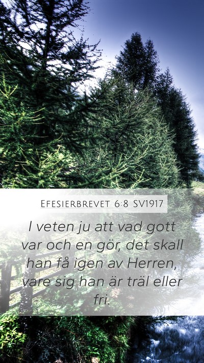 Efesierbrevet 6:8 SV1917 Bible Verse Image