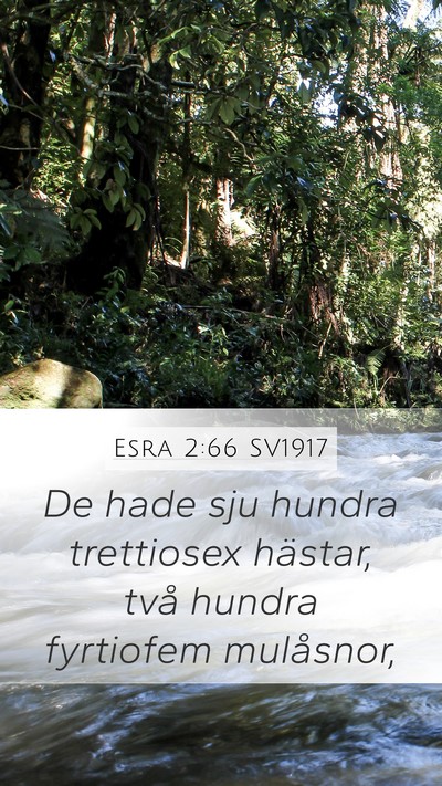 Esra 2:66 SV1917 Bible Verse Image