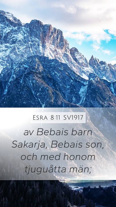 Esra 8:11 SV1917 Bible Verse Image