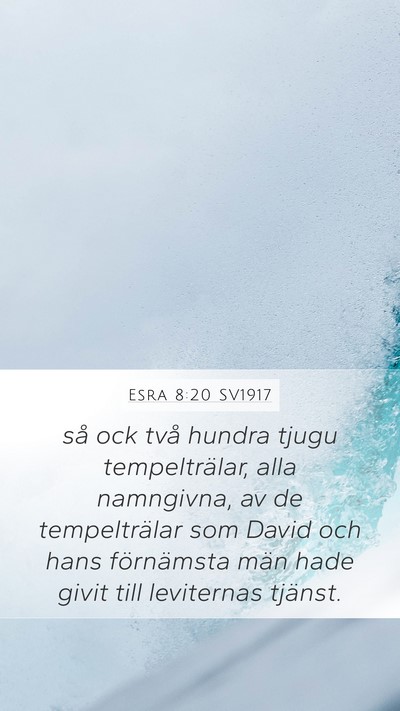 Esra 8:20 SV1917 Bible Verse Image