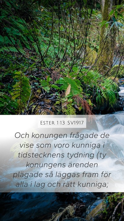 Ester 1:13 SV1917 Bible Verse Image