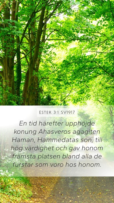 Ester 3:1 SV1917 Bible Verse Image