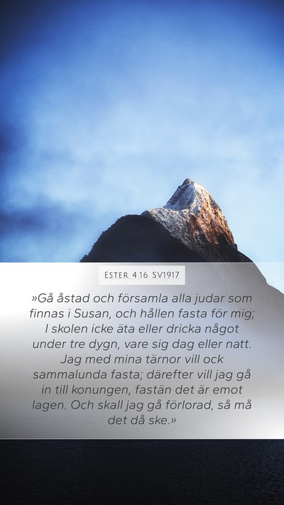 Ester 4:16 SV1917 Bible Verse Image