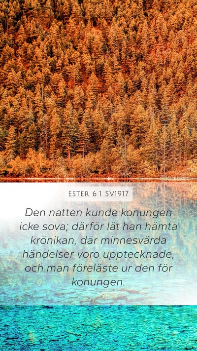 Ester 6:1 SV1917 Bible Verse Image