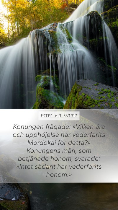 Ester 6:3 SV1917 Mobile Phone Wallpaper - Konungen frågade: »Vilken ära och upphöjelse - Mobile Bible Verse Wallpaper
