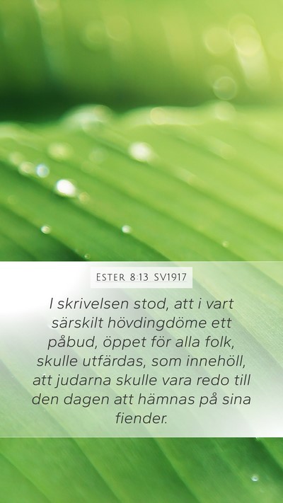 Ester 8:13 SV1917 Mobile Phone Wallpaper - I skrivelsen stod, att i vart särskilt - Mobile Bible Verse Wallpaper