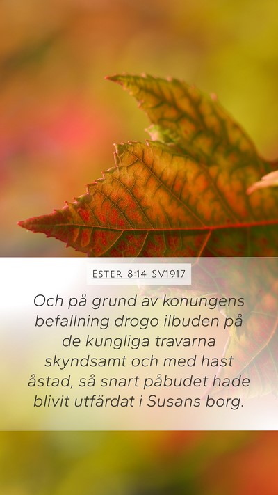 Ester 8:14 SV1917 Mobile Phone Wallpaper - Och på grund av konungens befallning drogo - Mobile Bible Verse Wallpaper
