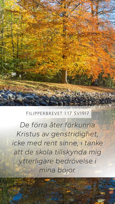 Filipperbrevet 1:17 SV1917 Bible Verse Image