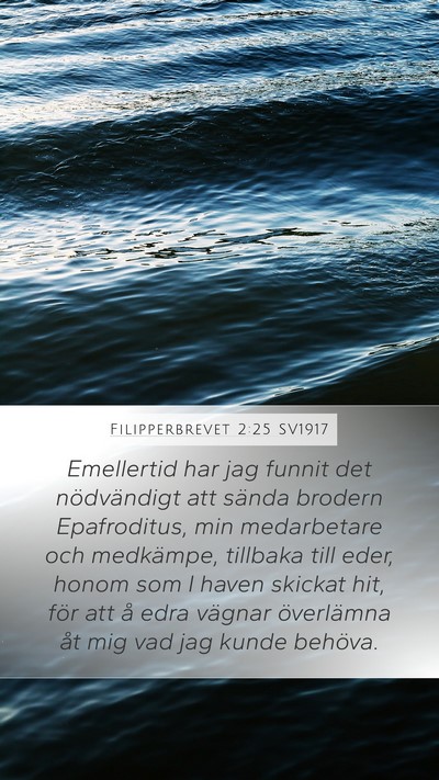 Filipperbrevet 2:25 SV1917 Bible Verse Image