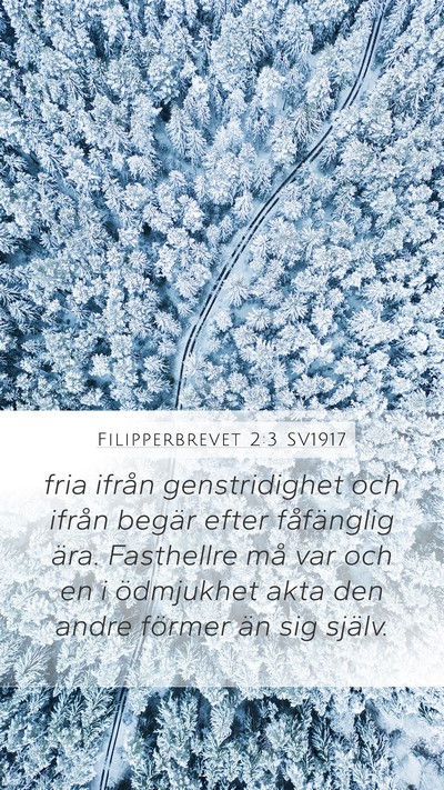 Filipperbrevet 2:3 SV1917 Bible Verse Image