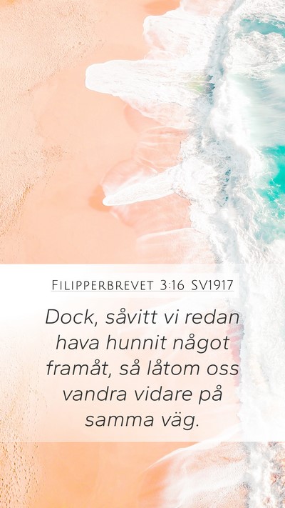 Filipperbrevet 3:16 SV1917 Bible Verse Image