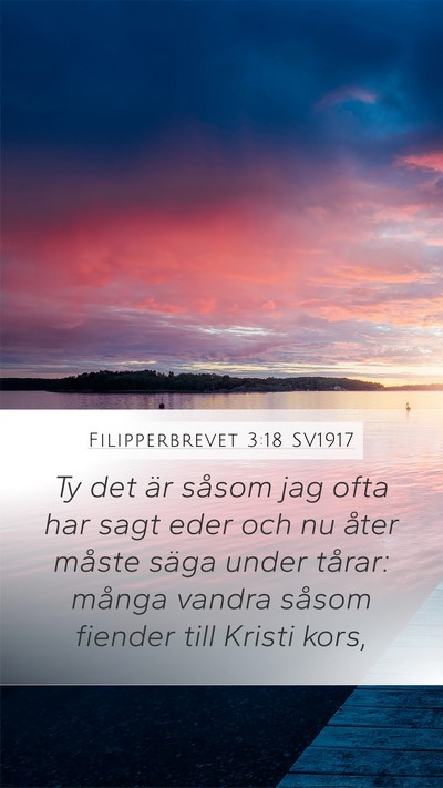 Filipperbrevet 3:18 SV1917 Bible Verse Image