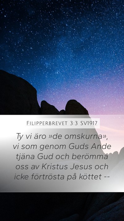 Filipperbrevet 3:3 SV1917 Bible Verse Image