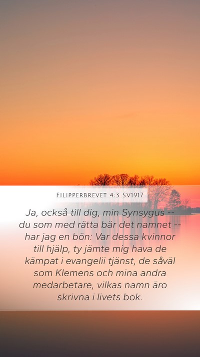 Filipperbrevet 4:3 SV1917 Bible Verse Image