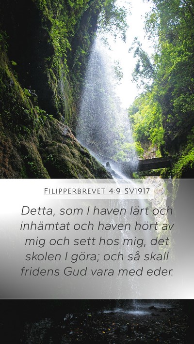 Filipperbrevet 4:9 SV1917 Bible Verse Image