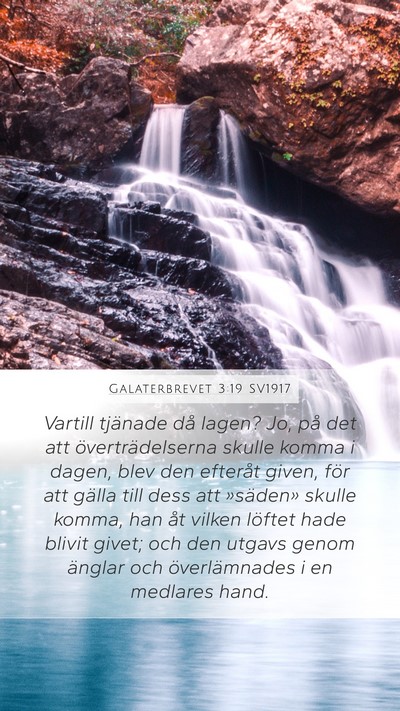 Galaterbrevet 3:19 SV1917 Bible Verse Image