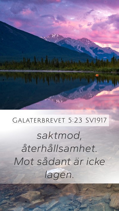 Galaterbrevet 5:23 SV1917 Bible Verse Image