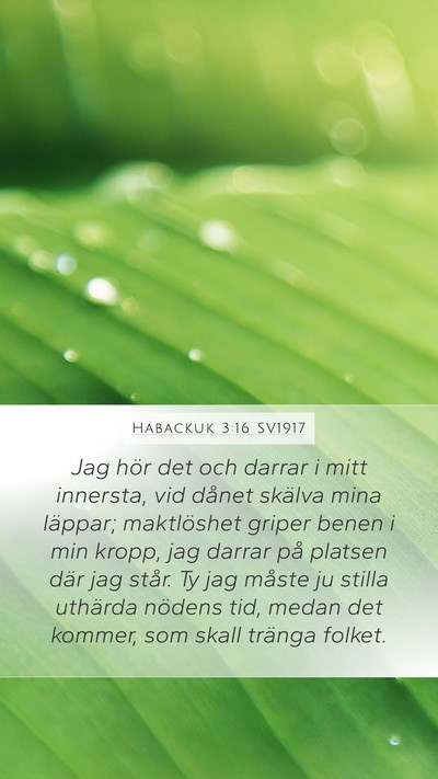 Habackuk 3:16 SV1917 Bible Verse Image